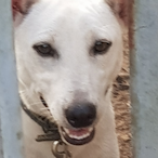 NBA.miyagi's Avatar'