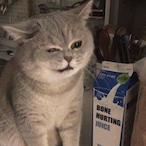 TheGrumpyCuban's Avatar'
