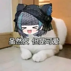 wayne.wei's Avatar'