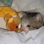 Panitamiguel's Avatar'