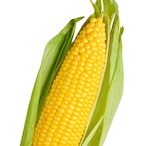 The_Corn_Man_'s Avatar'