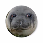 Rug_dr.'s Avatar'