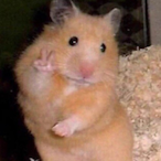 Evil_icecreams's Avatar'