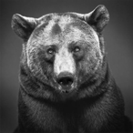 DeoTick's Avatar'