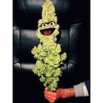 FruityEvoke's Avatar'