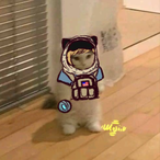 Otanachi's Avatar'