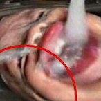 Xredd1tchx's Avatar'