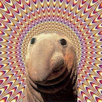 JimShortz1k's Avatar'