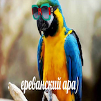 vahsheni's Avatar'