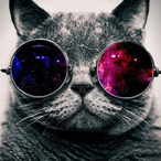Domi_wp's Avatar'
