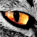 CeroCrash's Avatar'