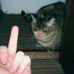 The_Wanderer342's Avatar'