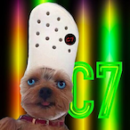 CoolioGian.C7's Avatar'