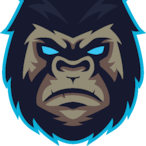 Sg0pa's Avatar'