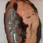 SkinTire's Avatar'
