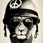 novallight's Avatar'