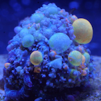 ITS_MY_WARMUP's Avatar'