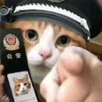 Jazznewnew's Avatar'