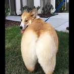 ICantDrone69's Avatar'