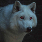 BroAfro.CHK's Avatar