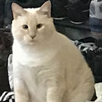 DrPancake1234's Avatar'