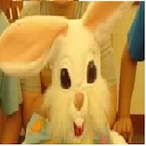 WillWonk15's Avatar'