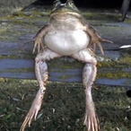 Skys__Btw's Avatar'