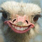 Burb41's Avatar'