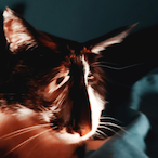 Fedec99_'s Avatar'