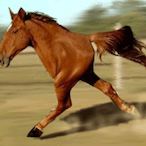 Terpyballs's Avatar'