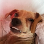 SmokeyJarell's Avatar'