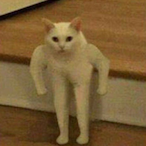 terminal_autism's Avatar'