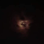 BrwnBoiMoco's Avatar'