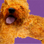 FriedDog826's Avatar'