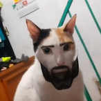 ImMegaCAT's Avatar'