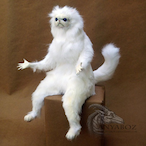 MartinStLouis's Avatar'