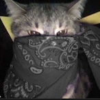 nirvanafan6's Avatar'