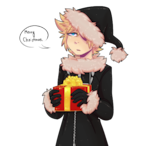 Roxas137's Avatar'