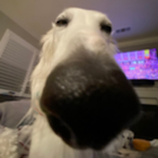 LordFoogThe2nd's Avatar'