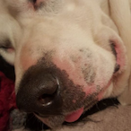 TheBigString's Avatar'