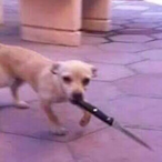 twitch-faidhate's Avatar'