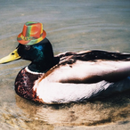 k1ngNugget.'s Avatar'