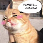 YaameteKudasaii's Avatar'