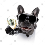 LiquidDogWater's Avatar'