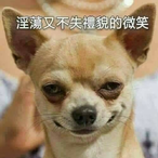 ouo_lol's Avatar'