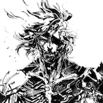 Raiden1224's Avatar'