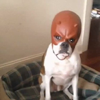 MoistCL1t67's Avatar'
