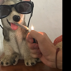 MdzTKBRON's Avatar'