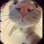 drunkmonkey329's Avatar'
