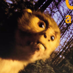 sinppapinppa's Avatar'